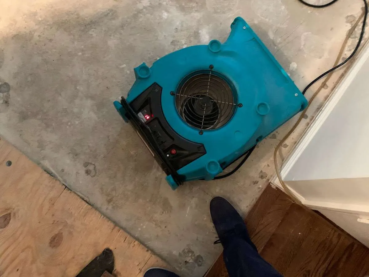 Air mover drying subfloor during Leak Detection & Repair in Morgan City